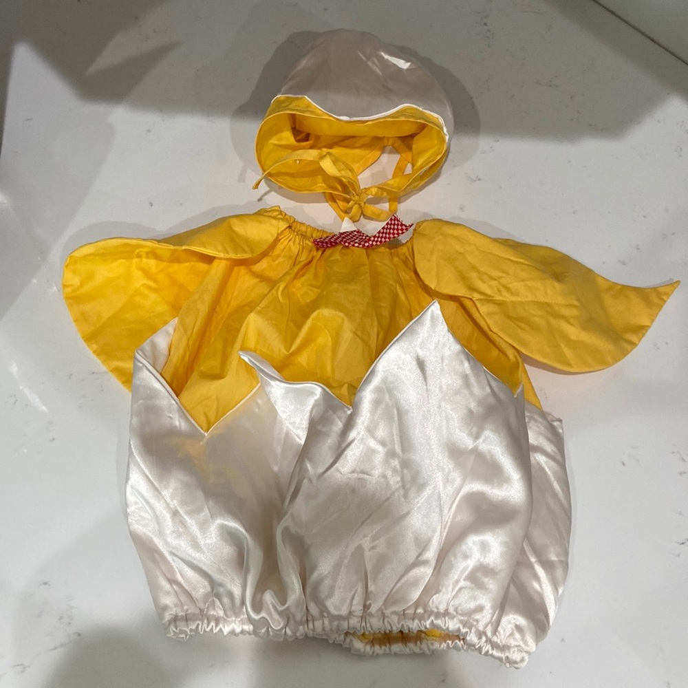 Baby chick hatching from an egg Halloween Costume Mullins Square infant - 25lbs